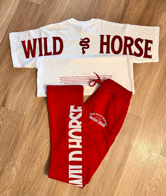 Red skinny stack set
