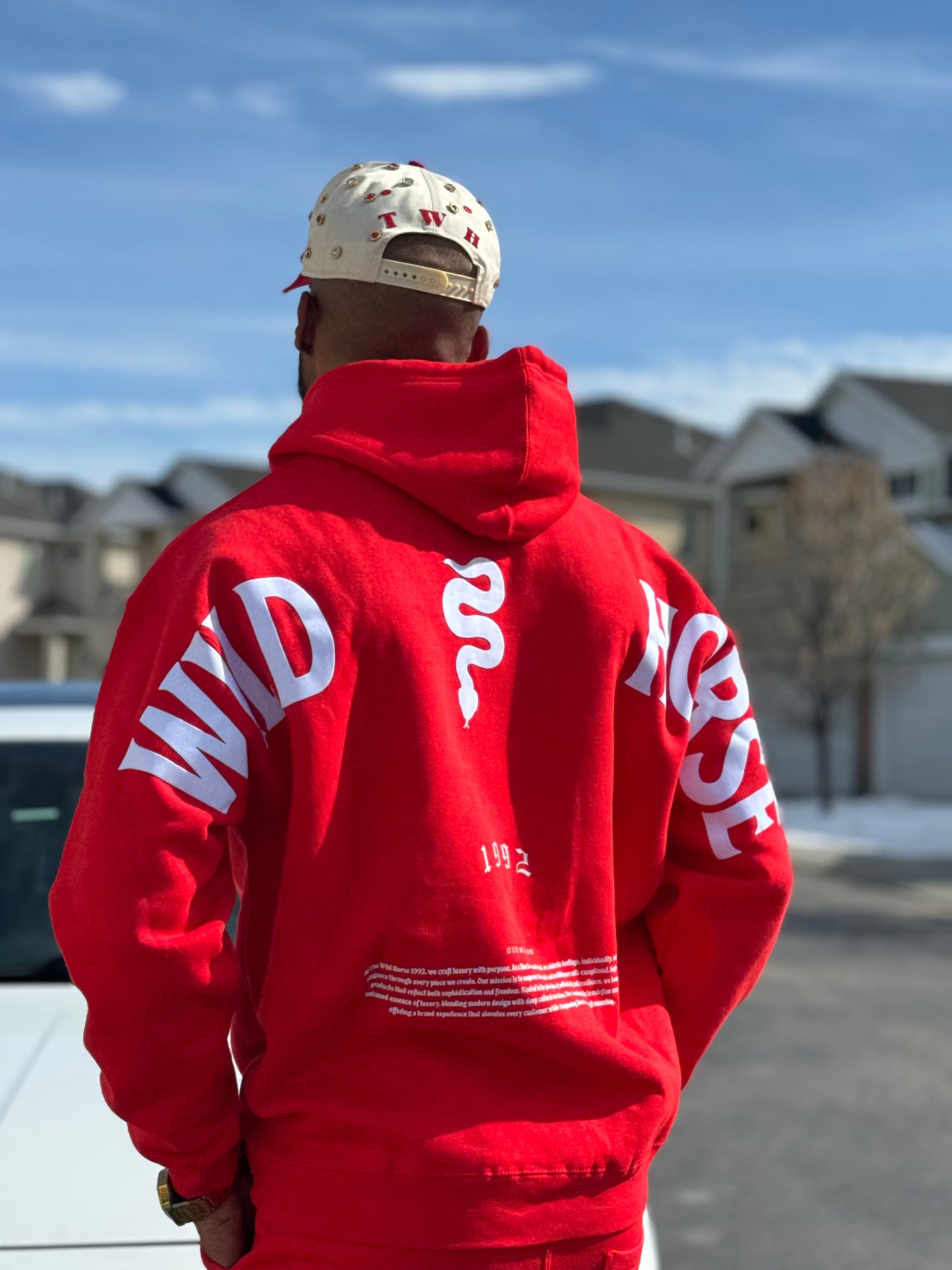 Red snake sweatsuit